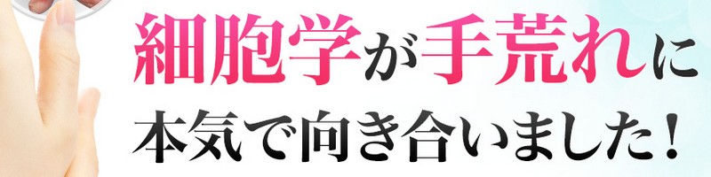 �זE�w���܂�̖��Y�����ϐ��uTocco �s���A�o���A���[�V�����v���T�C�g